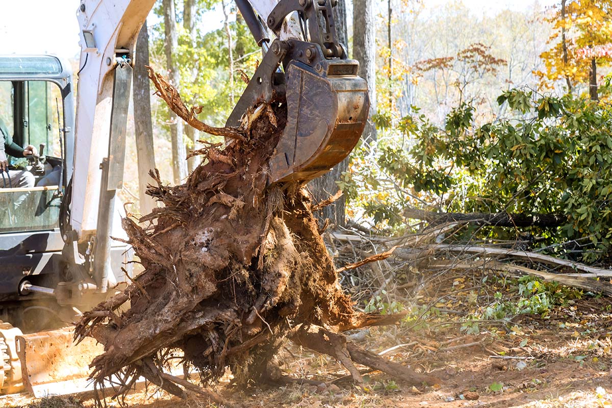 Professional Excavation Contractor in Gray, Maine