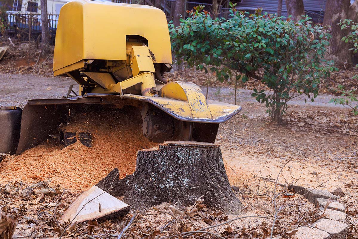 Excavation Contractor Standish, Maine - Stump Removal